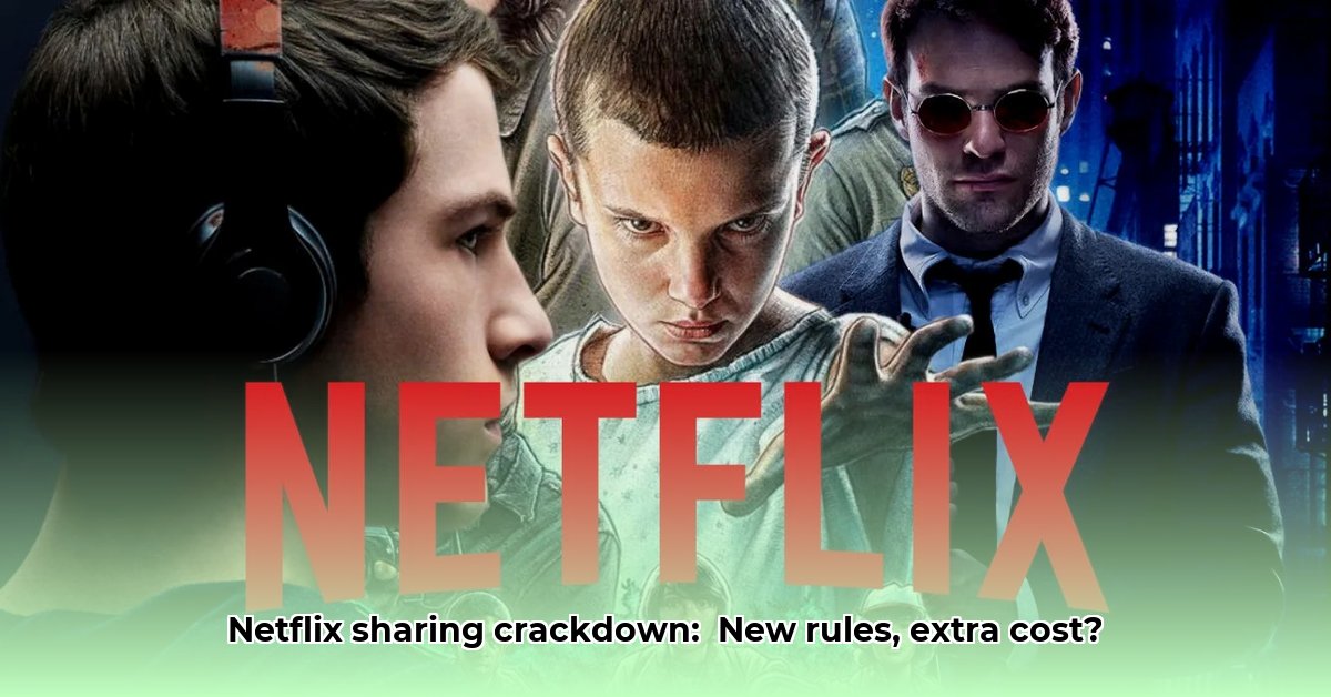 netflix-delen-buiten-gezin